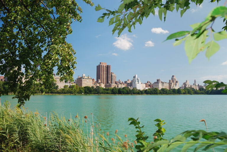 New York City Central Park urban Manhattan skyline with skyscrapers and trees lake reflection with blue sky and white cloud.